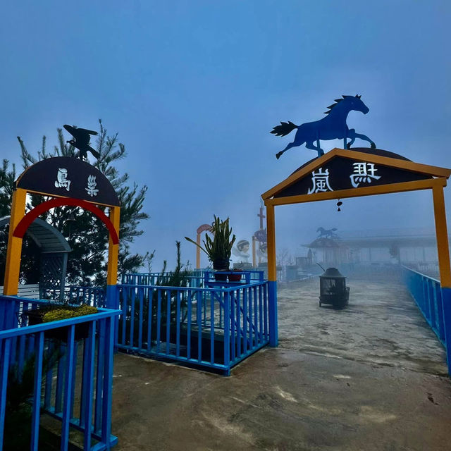 私人秘境瑪嵐雲瀑花園賞櫻、賞茶園及雲海趣
