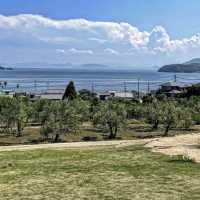魔女の宅急便の世界『小豆島オリーブ公園』🧙‍♀️