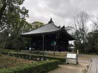 貴重な経典を収める静寂の空間📜✨