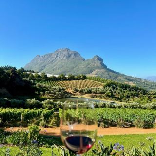 🌍【A must-visit when traveling to South Africa! Cape of Good Hope + Table Mountain + Winery, all in one trip! 】🍷