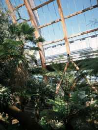 A Green Escape in the Heart of Sheffield: Winter Garden