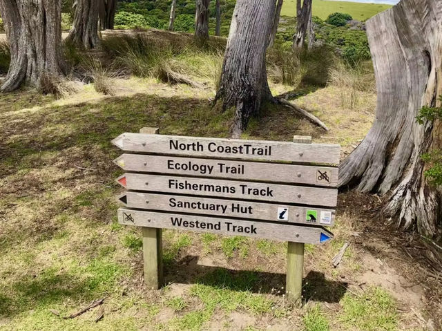 Spring Fling - Hiking and Exploring Tawharanui Regional Park