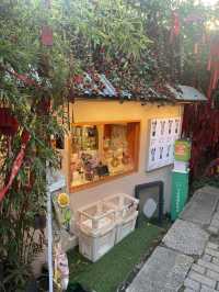 A Hidden World In Shenzhen