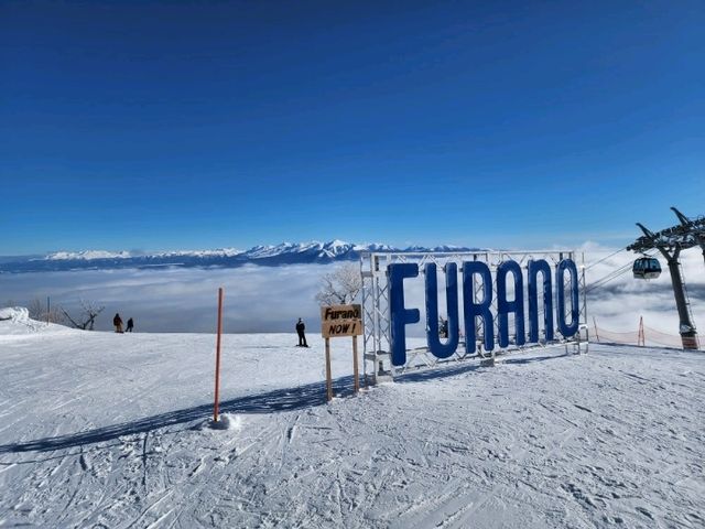 雪とイルミネーション