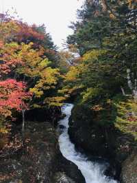Ryuzu Falls น้ำตกสวยๆ กับใบไม้เปลี่ยนสี คือฟิน