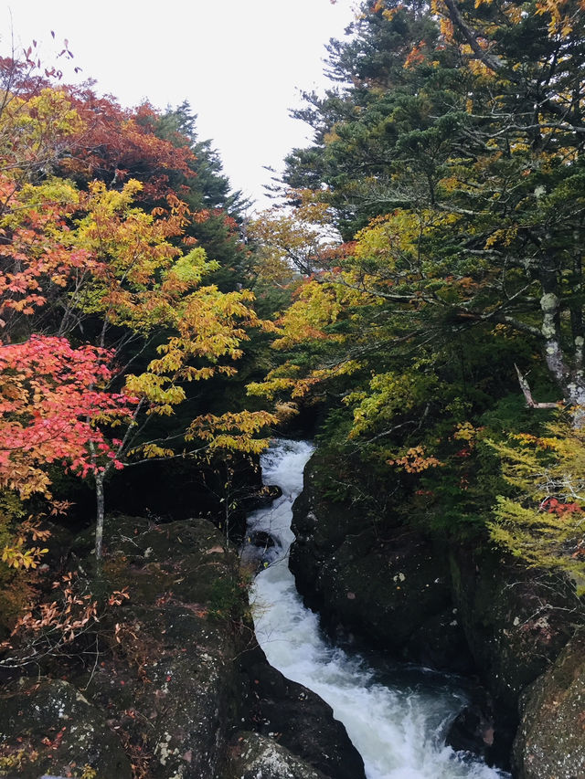 Ryuzu Falls น้ำตกสวยๆ กับใบไม้เปลี่ยนสี คือฟิน