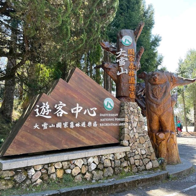 大雪山國家森林遊樂區