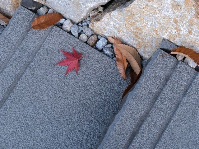 文藝 . 四國村