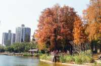 Urban Community at the Sihai Park in Shenzhen 