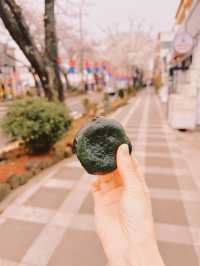 : 제주 가볼만 한 곳 : 제주 전농로 벚꽃길