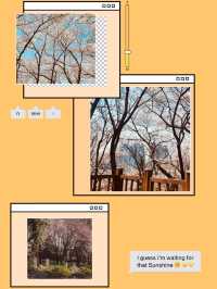 Temi's Floral Frame: Spring Photography Spot