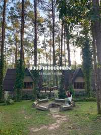 14 พิกัดเที่ยวเชียงใหม่ 🏡⛰️🌦️🌿