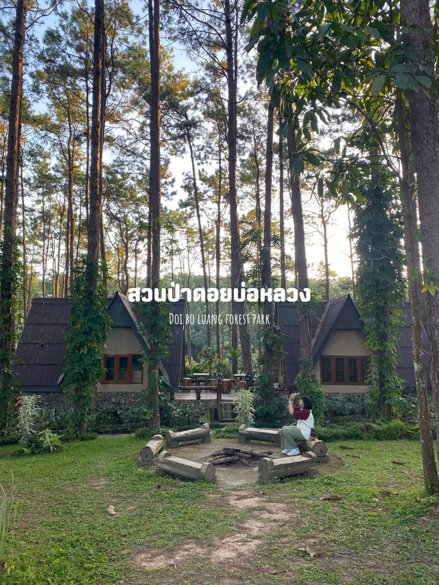 14 พิกัดเที่ยวเชียงใหม่ 🏡⛰️🌦️🌿