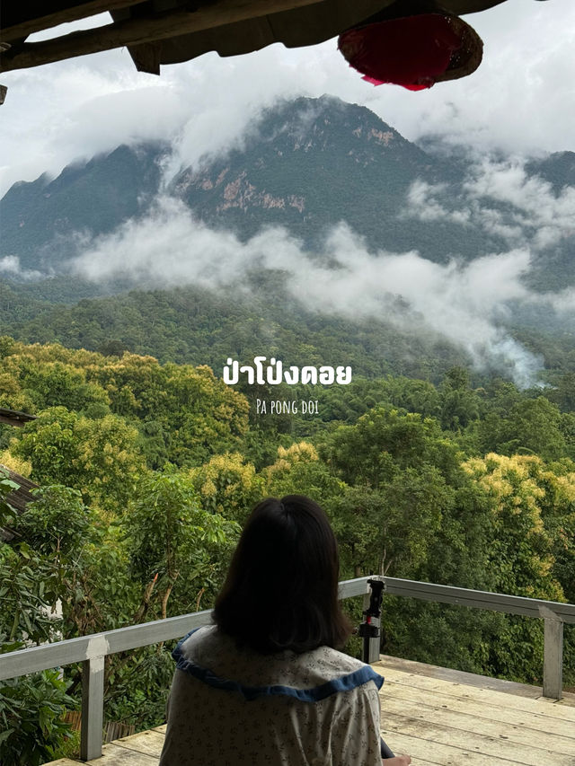 14 พิกัดเที่ยวเชียงใหม่ 🏡⛰️🌦️🌿