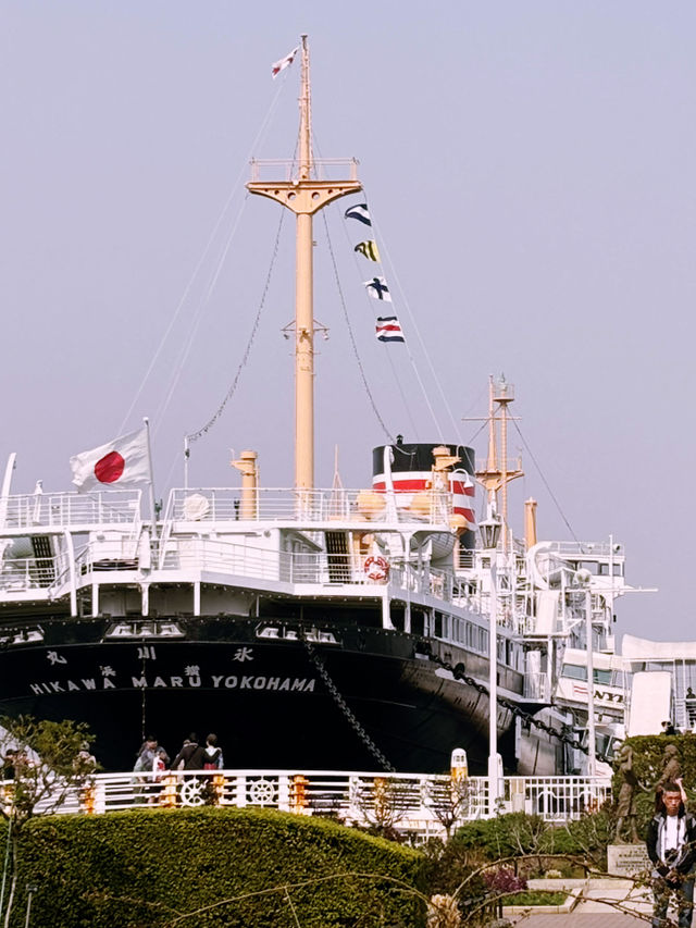 【桜が満開の横浜ニューグランドホテルと氷川丸、山下公園で春を迎えよう】