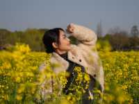 A Golden Surprise in Wuzhen: Seas of Rapeseed Blossoms