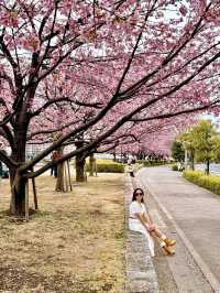 Tokyo Spring vibes unlocked 🌸