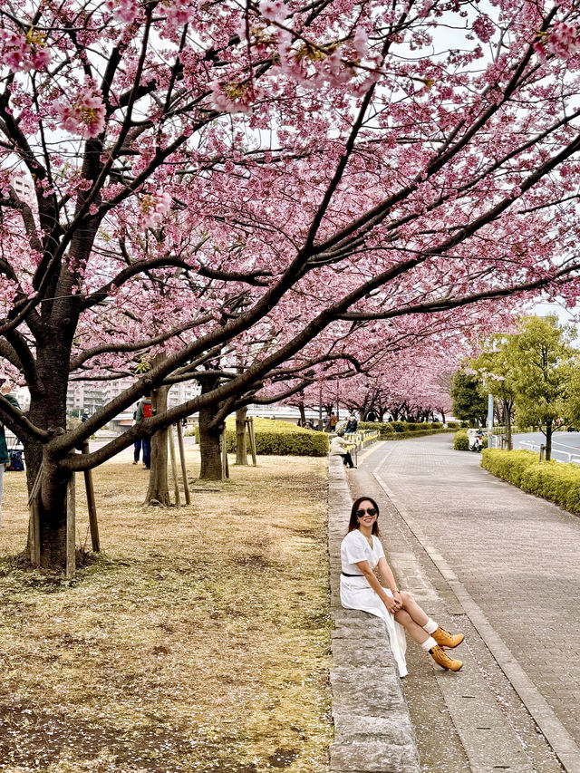 Tokyo Spring vibes unlocked 🌸