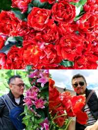 Keukenhof Gardens, literally a paradise for anthophiles & photography buffs! 