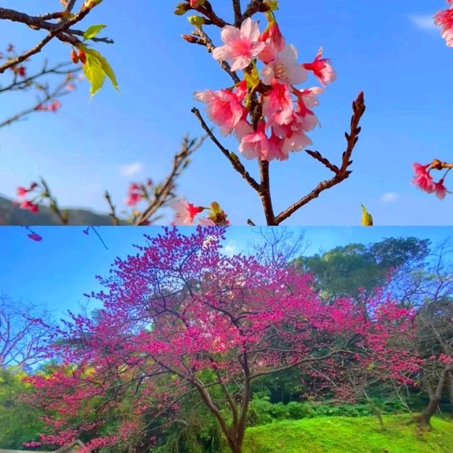 沖繩