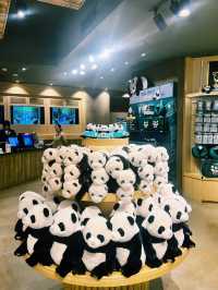 Panda Serenity at Everland🐼
