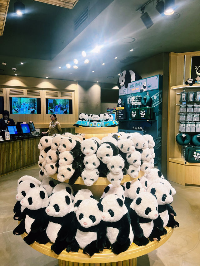 Panda Serenity at Everland🐼