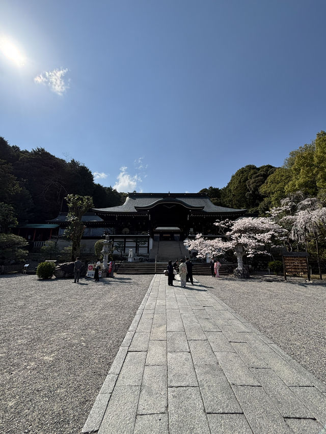 近江神宮に行ってみた！