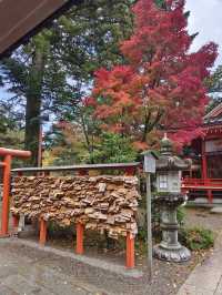 日本名古屋 | 兼六園