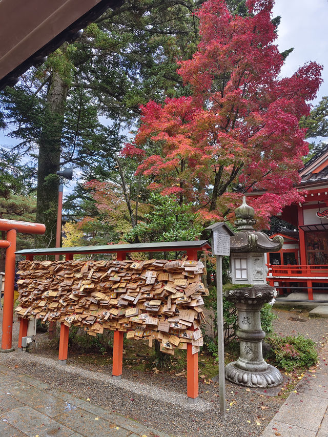日本名古屋 | 兼六園