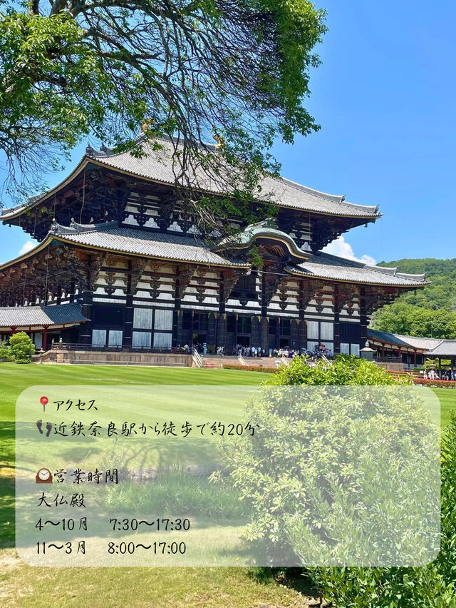 修学旅行の定番！奈良時代に造られた国宝✨奈良 東大寺