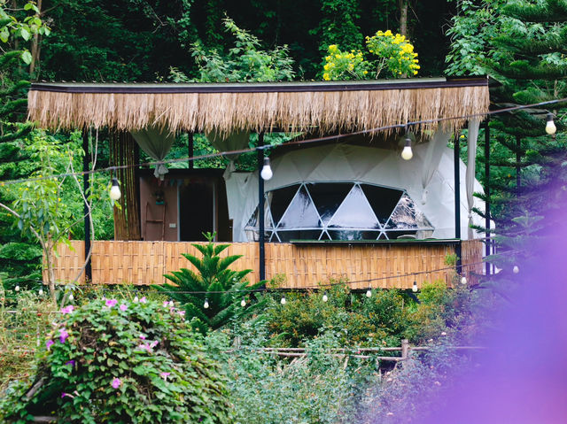 The Forest Camp เขาใหญ่