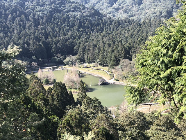 宜蘭秘境一日遊：明池森林遊樂區放空小旅行