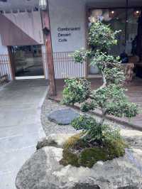 山上村 悠閒好去處