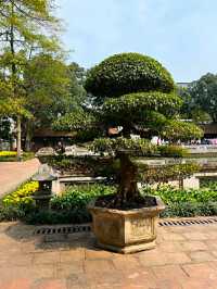 TEMPLE OF LITERATURE.