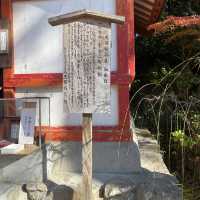 【福岡県太宰府市🇯🇵天開稲荷社】九州最古のお稲荷さんへ☺️