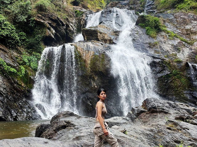 กรุงชิง...มนต์เสน่ห์แห่งผืนป่าใต้ 🌳