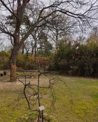 木槿花公園/舍廊房