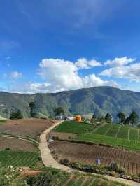 A Village Full of Peace