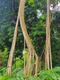 Fort Canning Park