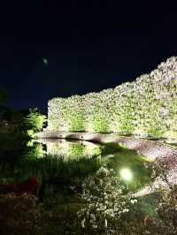 【栃木】一生に一度は見てみたかった藤の絶景スポット