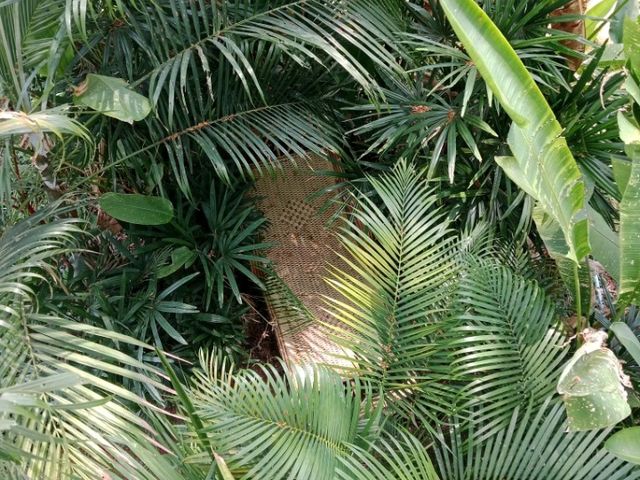 ทัพ-ฟ้าคาเฟ่ คาเฟ่ที่แสนโรแมนติก จังหวัดพิษณุโลก