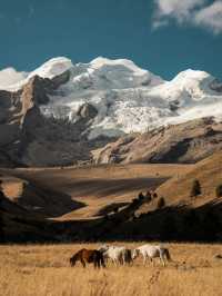Discover and explore Genyen