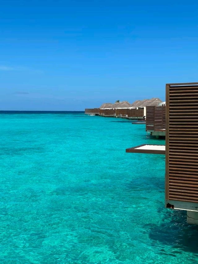Maldives Vibes: Feel It, Live It, Love It