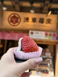 Sensoji Temple Food Hunt 🍙 🔍: 5 Snacks You Can’t Miss