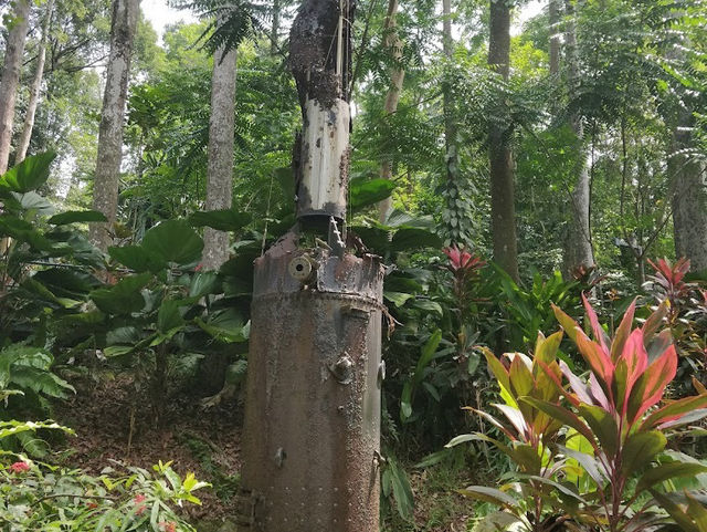 🌿 Sandakan Memorial Park: Where History Whispers Among the Trees
