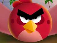 🎯 Angry Birds Activity Park JB – Fun for the Flock! 🐦🎢