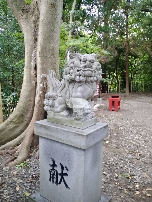 Spring Walk at Kakita River Park