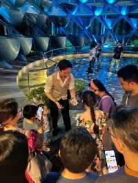 Stay in Sentosa, be the first to get to Universal Studios!