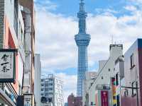 東京的春天