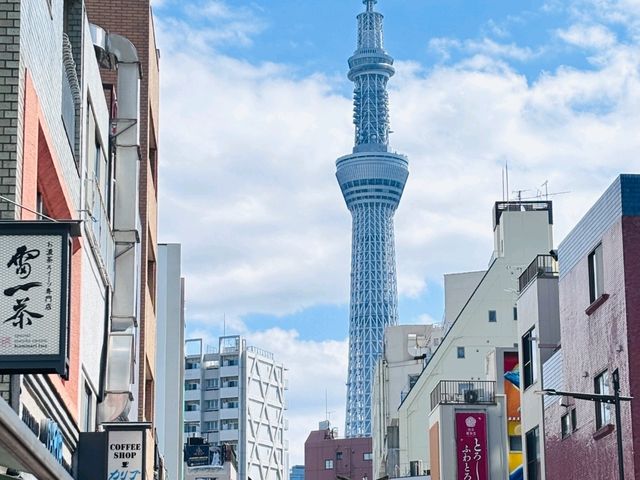 東京的春天